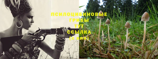 тгк Алексеевка